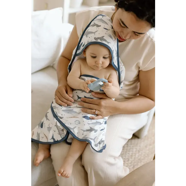 Loulou Lollipop Sharks Hooded Towel Set