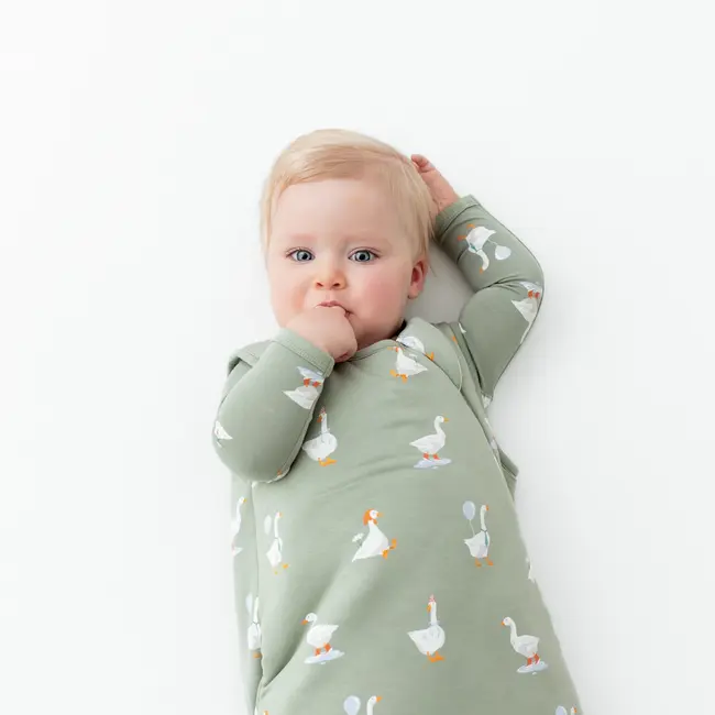 Kyte Baby Silly Goose Bamboo Sleep Bag, 2.5 TOG