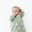 Kyte Baby Silly Goose Bamboo Sleep Bag, 2.5 TOG