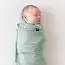 Kyte Baby Thyme Sleep Bag Swaddler