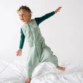 Dreamland Baby Sage Green Bamboo Sleep Sack Walker