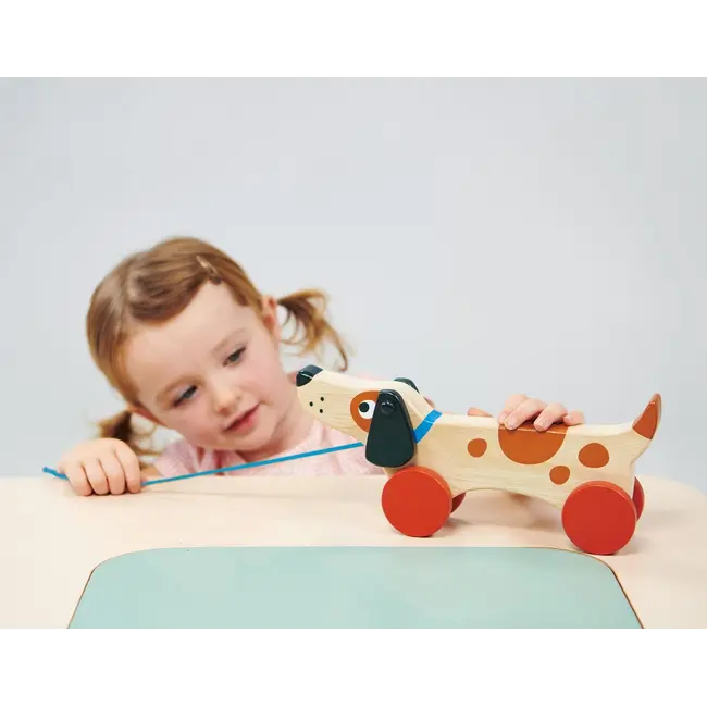 Mentari Toys Puppy on Wheels