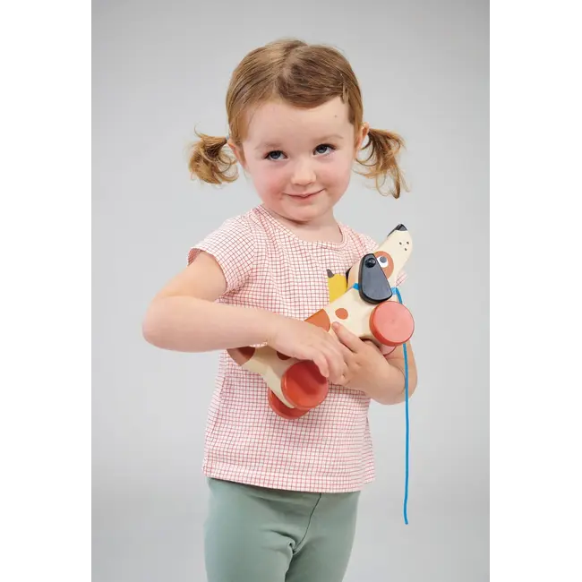 Mentari Toys Puppy on Wheels