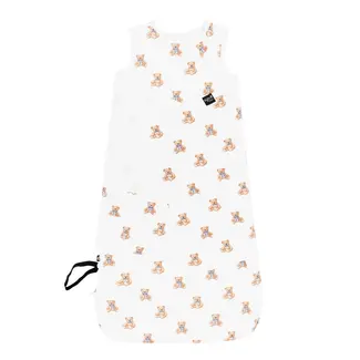 Kyte Baby Teddy Bear Sleep Bag Swaddler