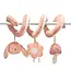 Nouka Pip the Rabbit Spiral Activity Toy