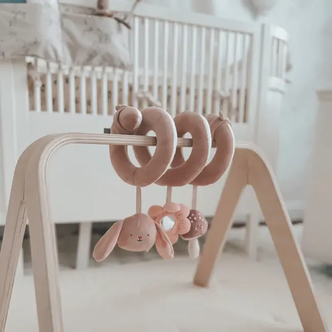 Nouka Pip the Rabbit Spiral Activity Toy