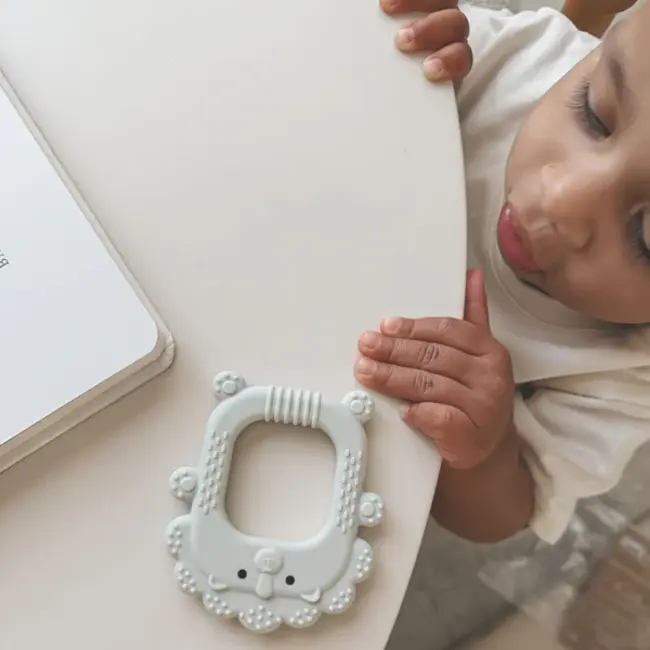 Nouka Roary the Lion Silicone Teether