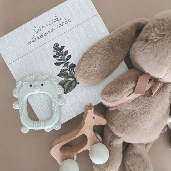 Nouka Roary the Lion Silicone Teether