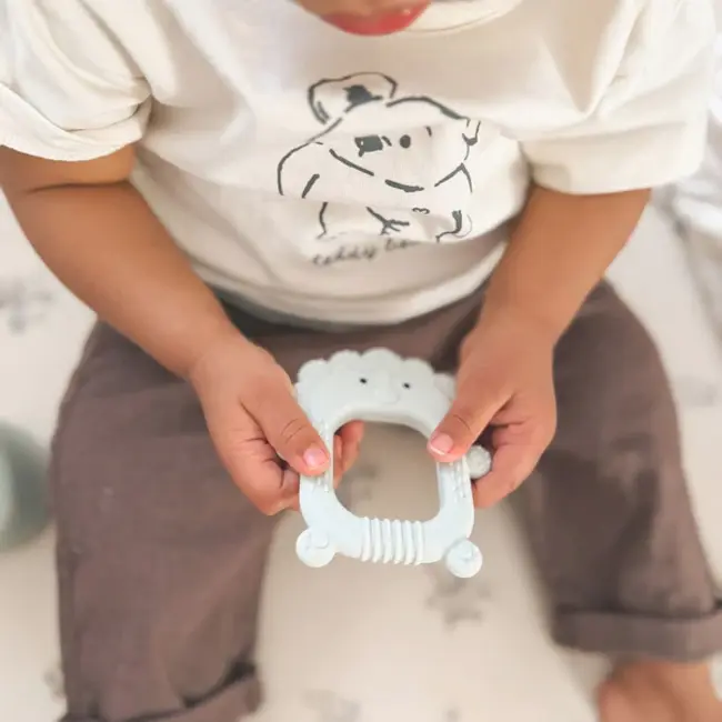 Nouka Roary the Lion Silicone Teether