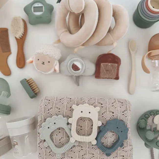Nouka Ziggy the Dino Silicone Teether