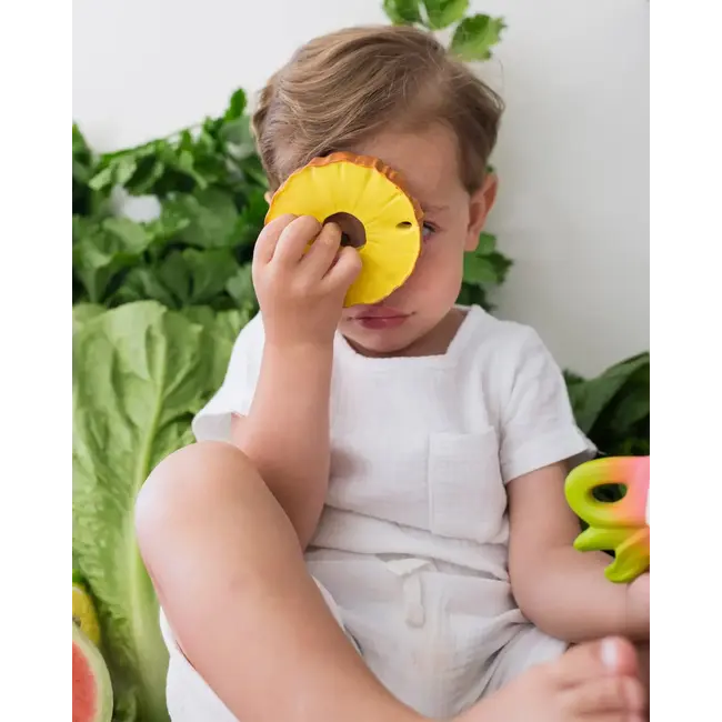 Oli & Carol Ananas the Pineapple