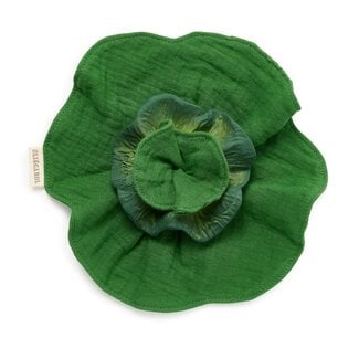 Oli & Carol Mini Doudou Teether- The Kale