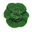 Oli & Carol Mini Doudou Teether- The Kale