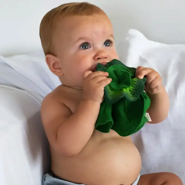 Oli & Carol Mini Doudou Teether- The Kale