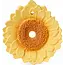 Oli & Carol Sun the Sunflower