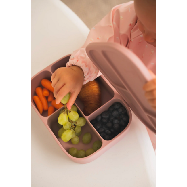 Micasso & Co Majestic Blue Silicone Bento Box