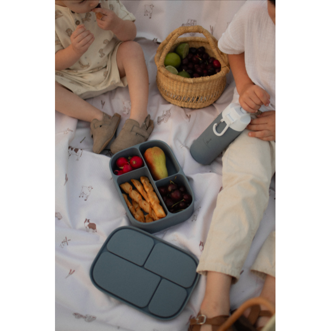 Micasso & Co Majestic Blue Silicone Bento Box