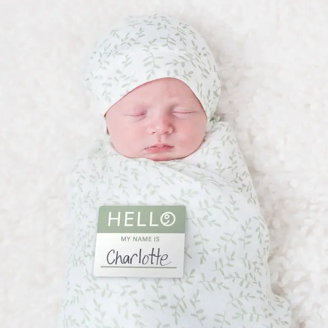 Greenery "Hello World" Welcome Set
