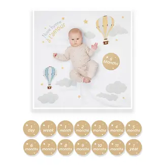 Hot Air Balloon Milestone Set (French)