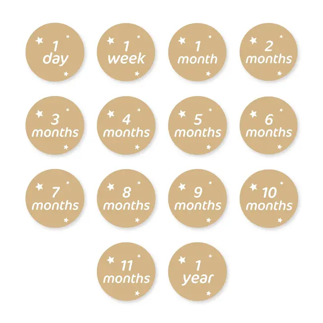 Hot Air Balloon Milestone Set (French)