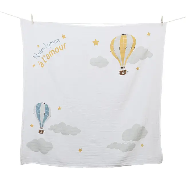 Hot Air Balloon Milestone Set (French)