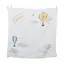 Hot Air Balloon Milestone Set (French)