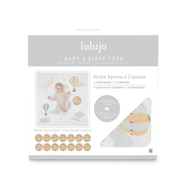 Hot Air Balloon Milestone Set (French)