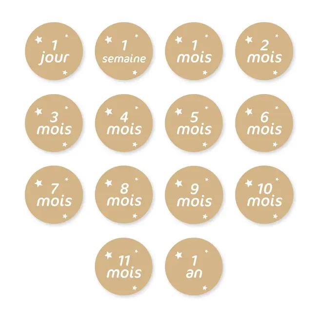 Hot Air Balloon Milestone Set (French)