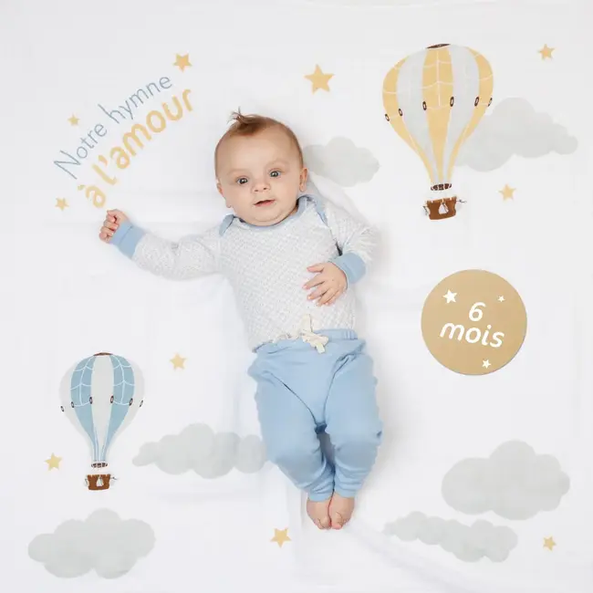 Hot Air Balloon Milestone Set (French)
