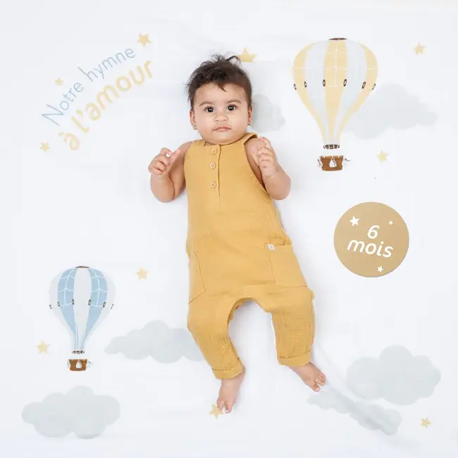 Hot Air Balloon Milestone Set (French)