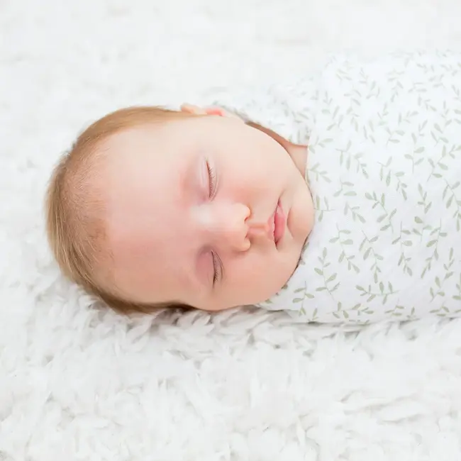 Boho Daisies/Greenery 2PK Cotton Muslin Swaddle