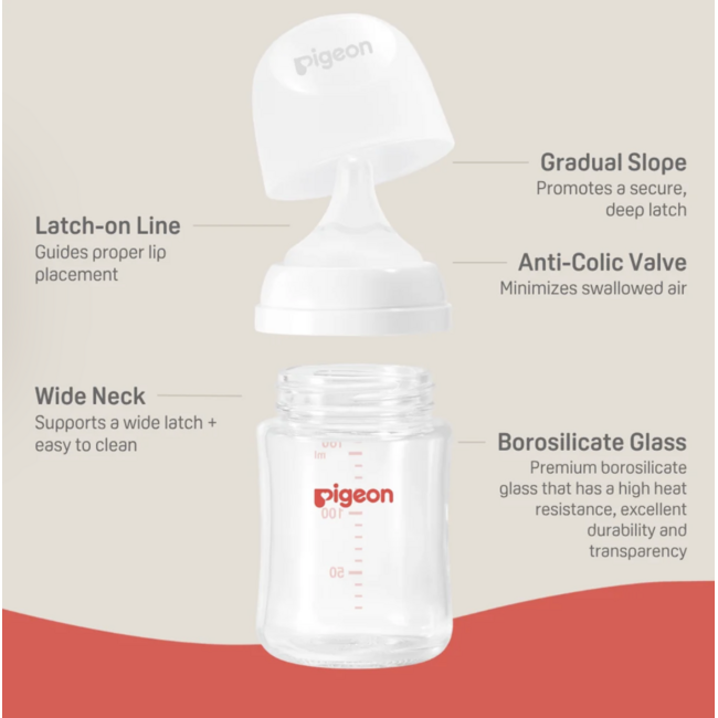 Pigeon 5oz Glass Bottle w/ SS Nipple