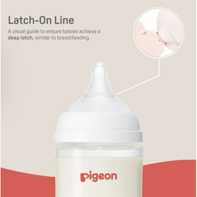 Pigeon 8oz Glass Bottle w/ M Nipple