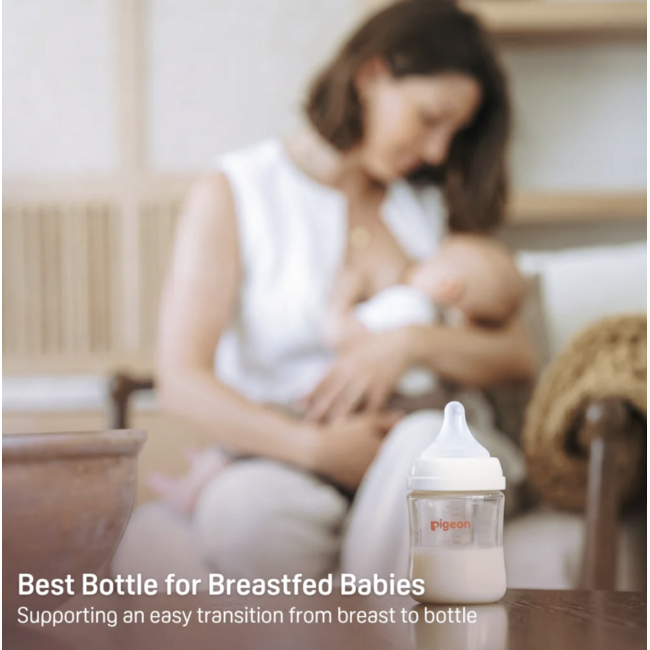 Pigeon 8oz Glass Bottle w/ M Nipple