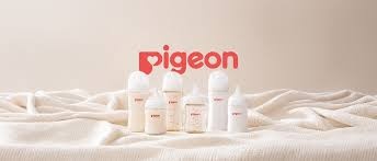 Pigeon