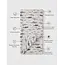 Loulou Lollipop Sharks Muslin Swaddle