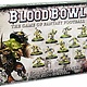 Games Workshop Blood Bowl: The Scarcrag Snivellers Goblin Team