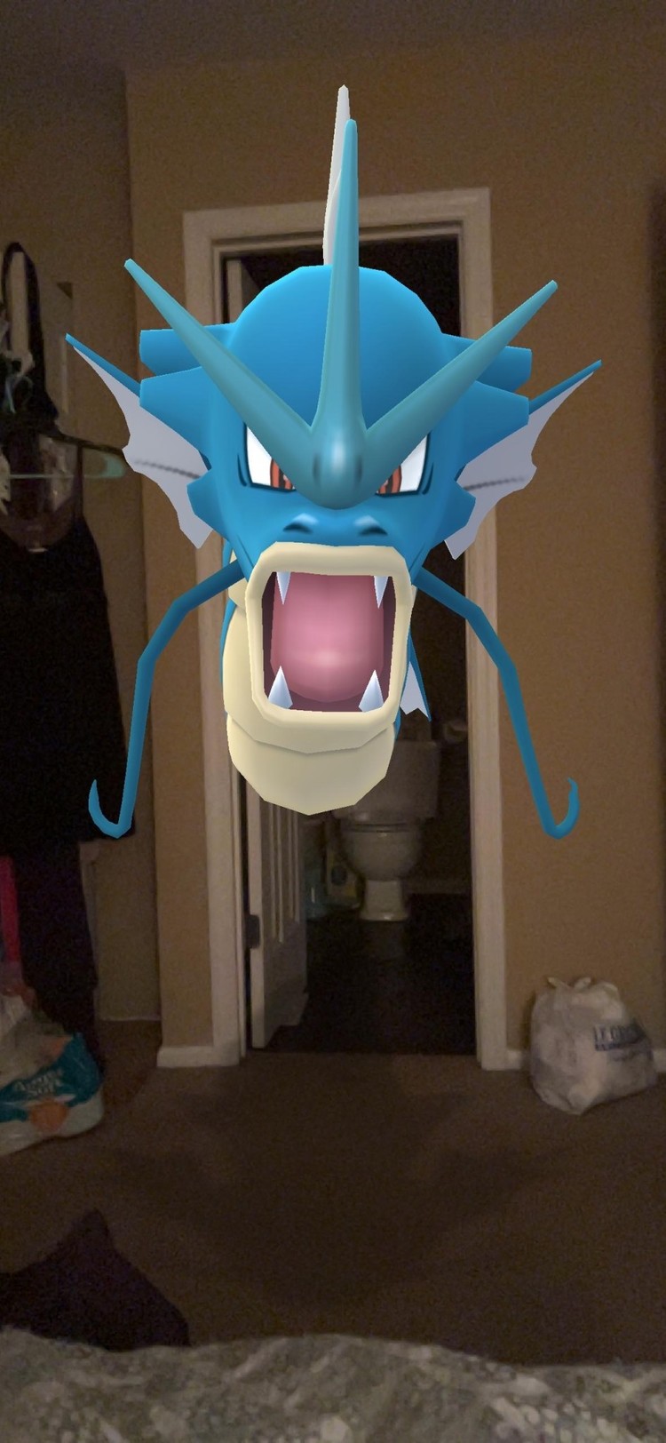 Black Powder Black Powder: French Light Cavalry Brigade