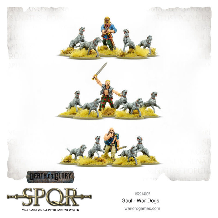 Warlord games SPQR: Gaul- War Dogs