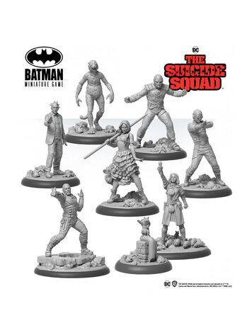 Batman The Suicide Squad