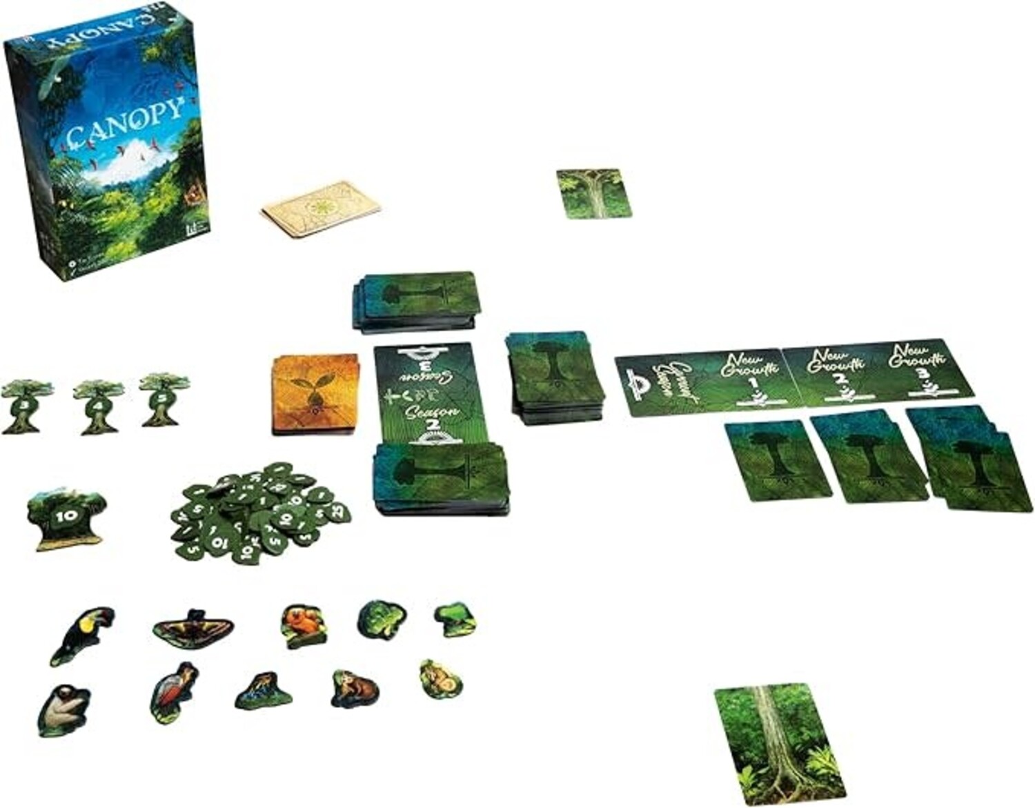 Canopy Family Time Games