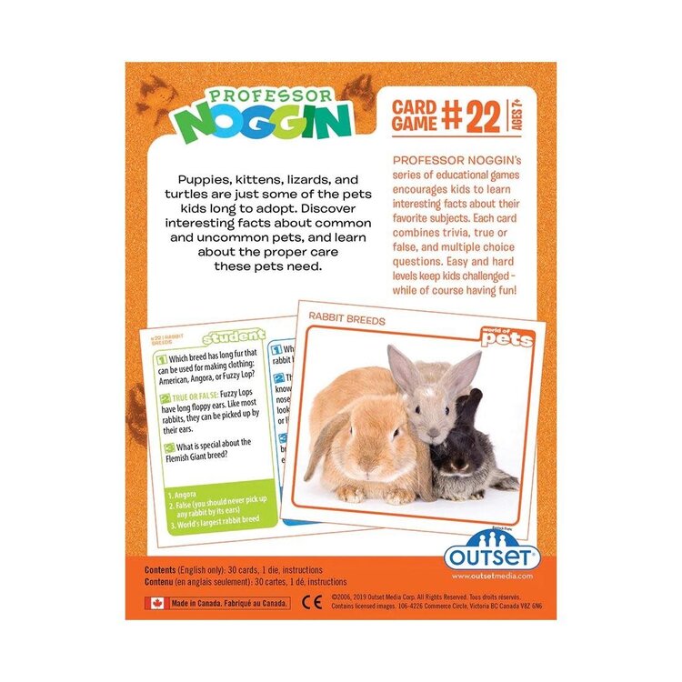 Professor Noggin #22: World of Pets