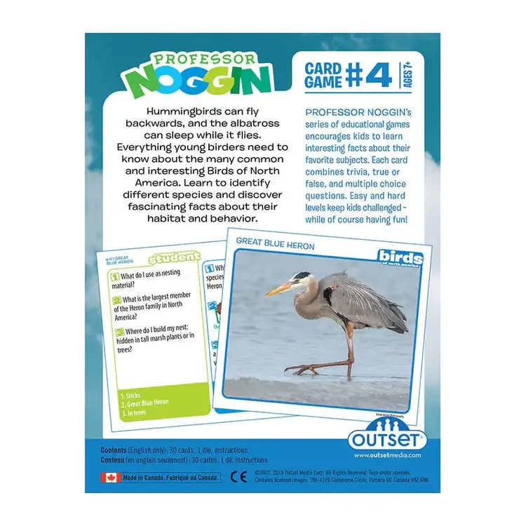 Professor Noggin #4: Birds of North America