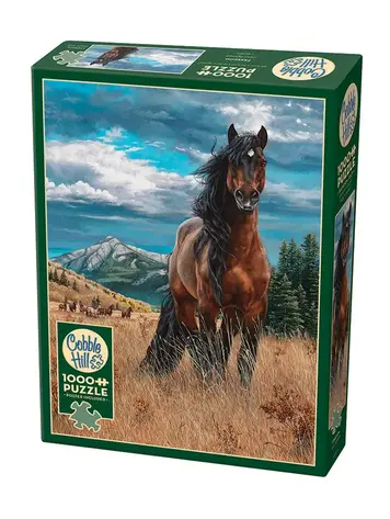 Cobble Hill Freedom puzzle (1000 pcs)