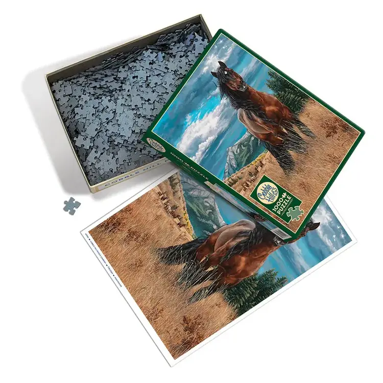 Cobble Hill Freedom puzzle (1000 pcs)