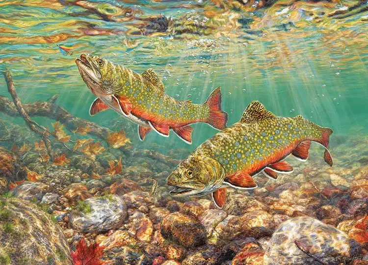 Cobble Hill Brook Trout Puzzle (1000 pcs)