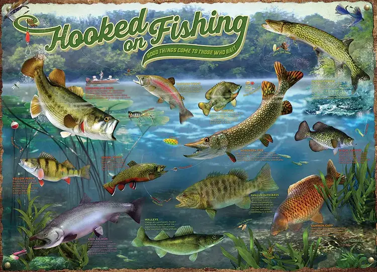 Cobble Hill Hooked on Fishing Puzzle (1000 pcs)