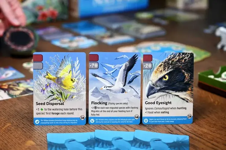 NorthStar Nature: Flight (Module 1)