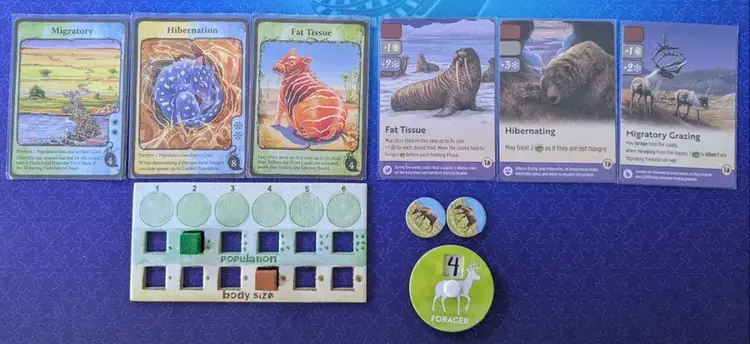North star games Nature: Arctic Tundra (Module 4)