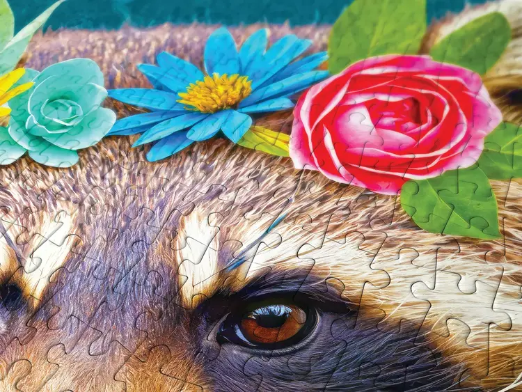 Outset Floral Raccoon puzzle (1000 pc)